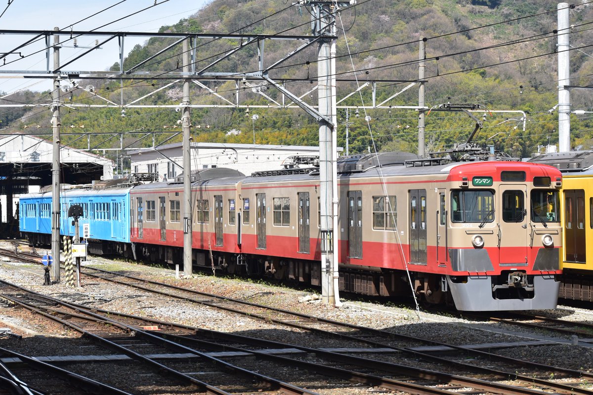 よーよー快速 tweet media