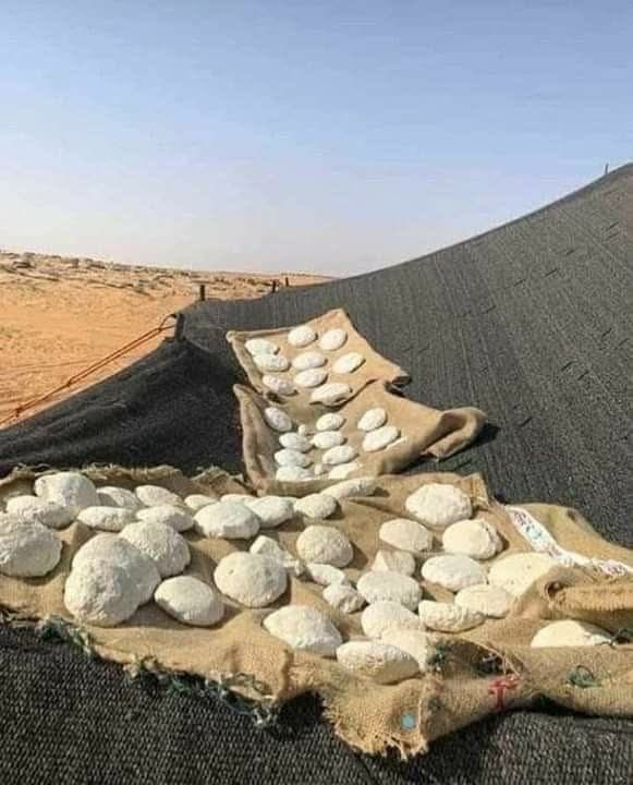 Ahmed Bassi tweet media