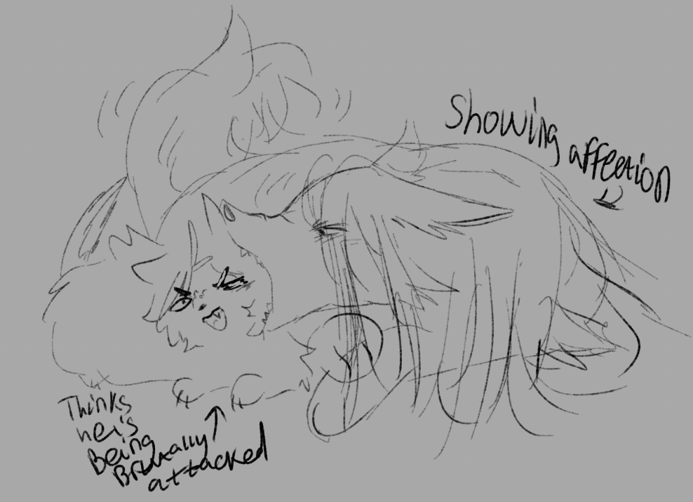 Icarus 🕊 tweet media