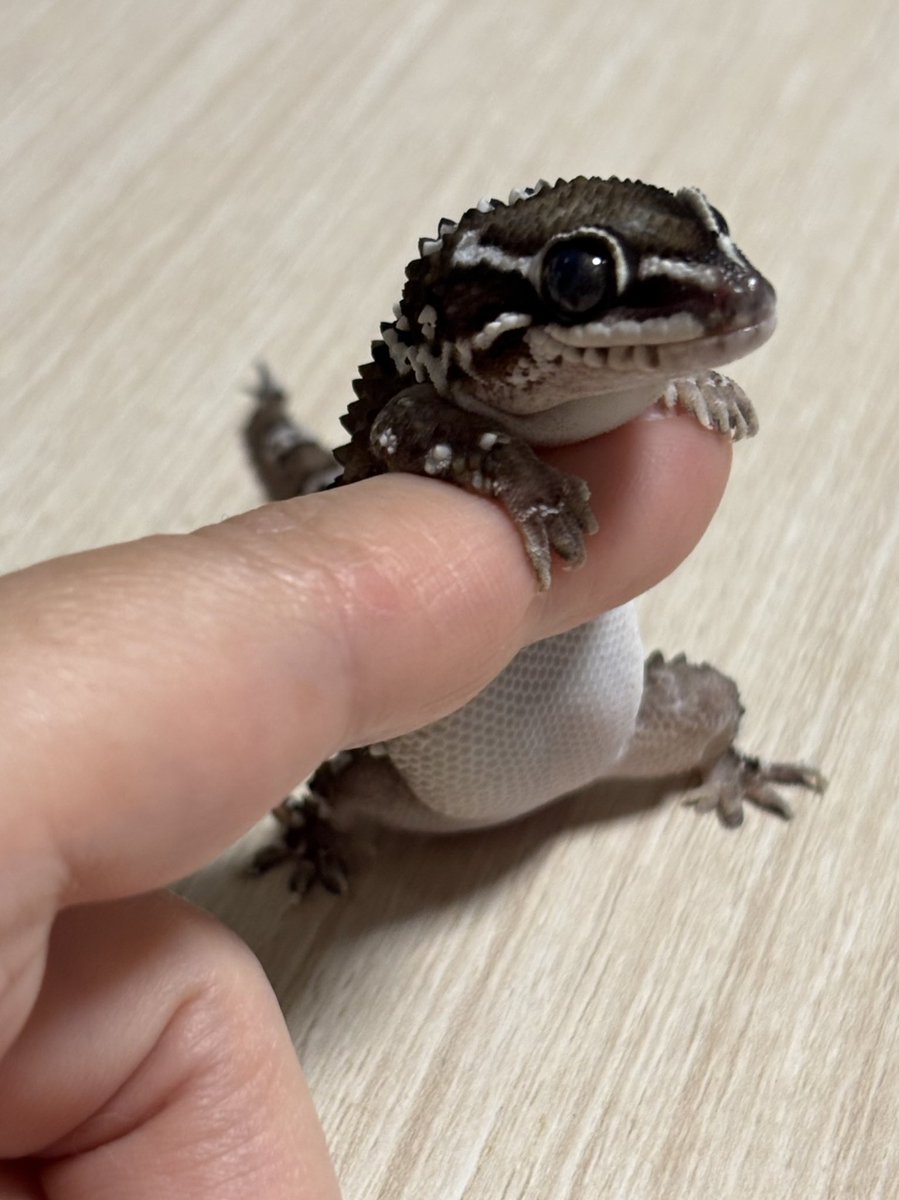 りょー❄︎ tweet media