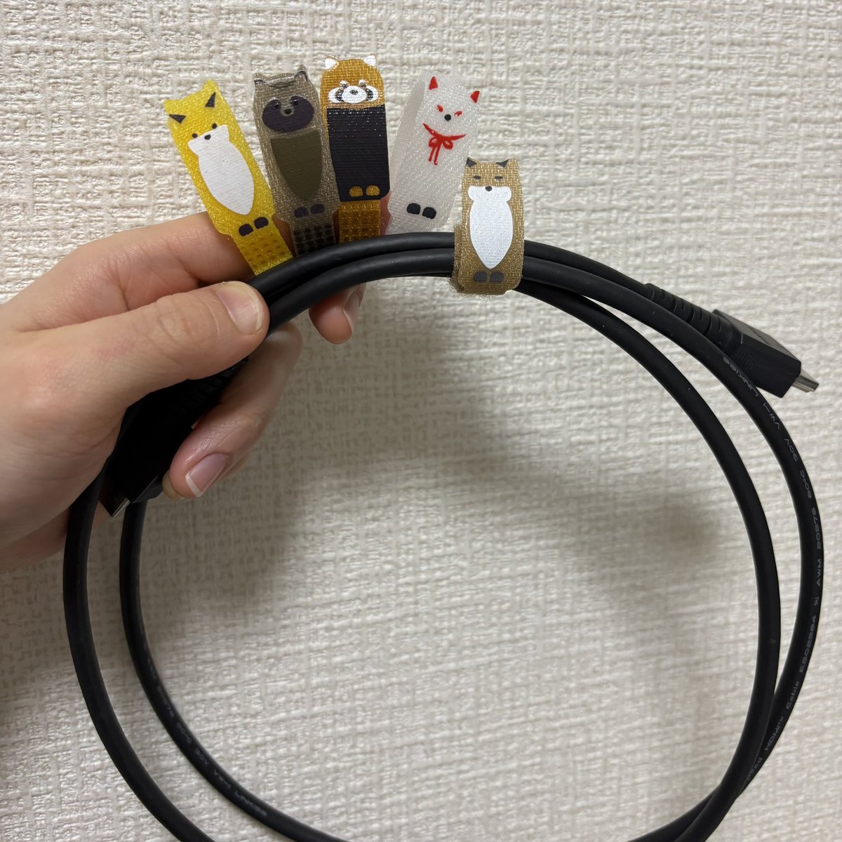 ちゃんぷるず tweet media