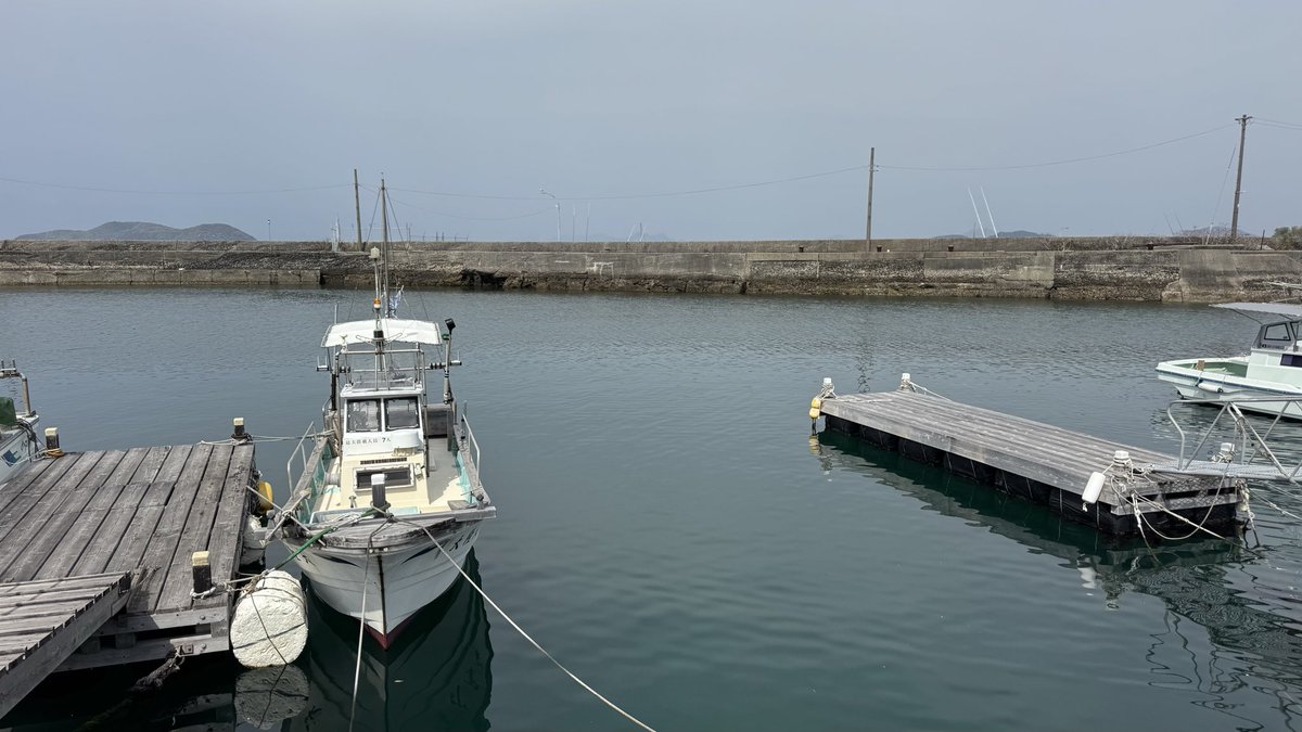 Marky@Breeze of Island tweet media