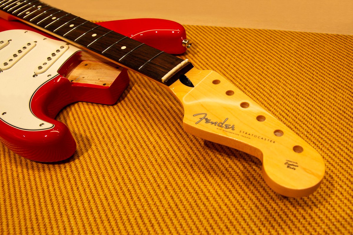 Fender (フェンダー) tweet media