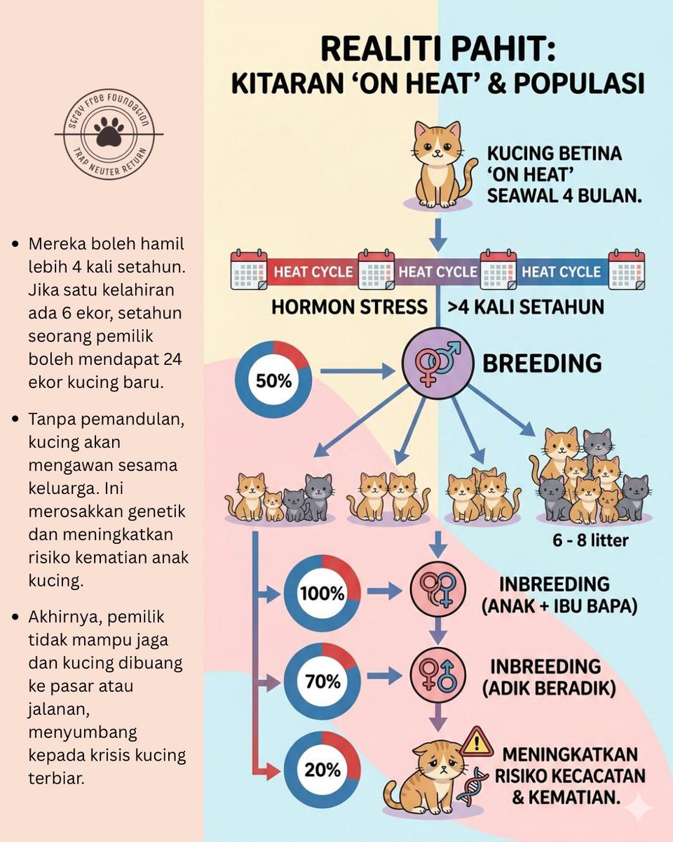 kyril_graguks's tweet photo. Bacalah. Inilah antara usaha terpantas dlm mengawal lambakan mereka yg akan membebankan diri&amp; menyusahkan org lain namun mangsa akhirnya tetap 🐈🐕‍🦺 dibuang&amp;diabaikan.Ini yg bro lakukan&amp; bro harap ramai lakukan usaha yg sama. Nak harap siapa lagi kalau bukan kita yg mulakan dulu. https://t.co/4qqsqchvXZ