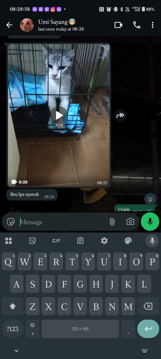 Nasaei11's tweet photo. Emergency kes
Dakcik baru lepas beranak dan anak dia semua mati maybe sbb x pandai jaga anak first time.. saya pulakk dkt kg jaga atok sakit, mak saya x pandai nk bwk pergi vet ape semua. Dakcik jdi cmni mcm Kena sawan... Ada tak rescue area Seremban yang boleh bwk dakcik pergi https://t.co/1kYEU83F2I