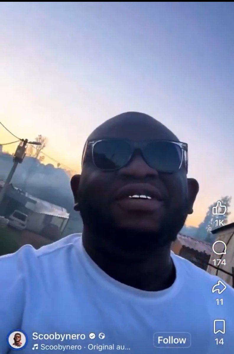 Chilli Bite  tweet media