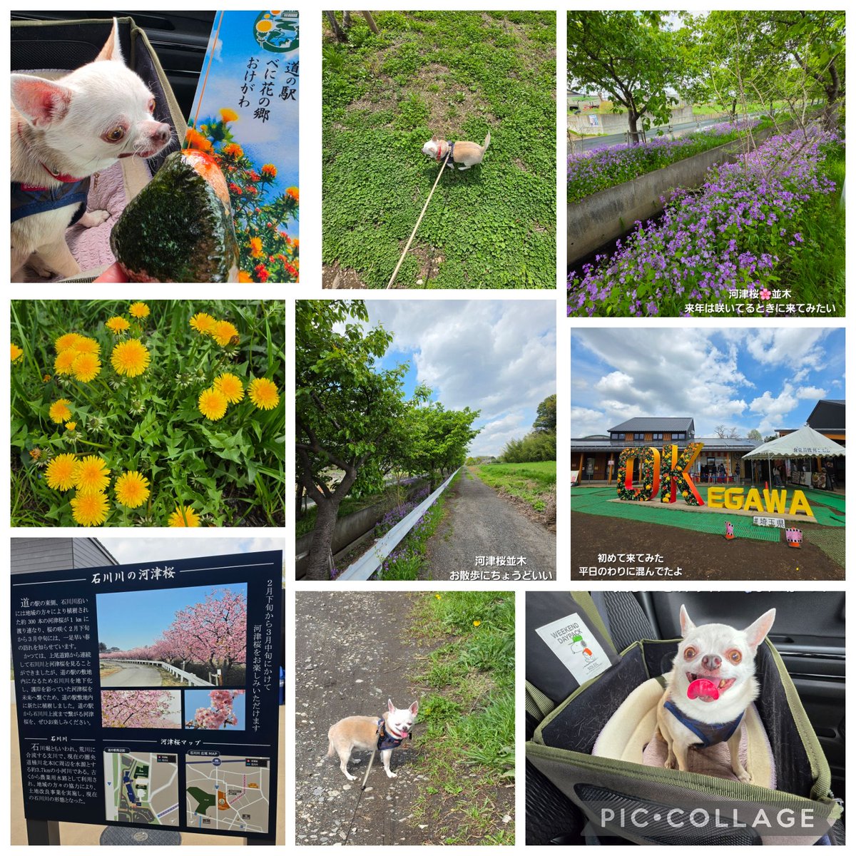 Hair Salon BLONDE Group tweet media