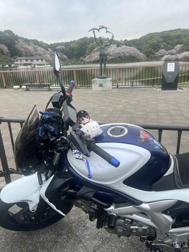 めんじょるの 🐻💿 tweet media