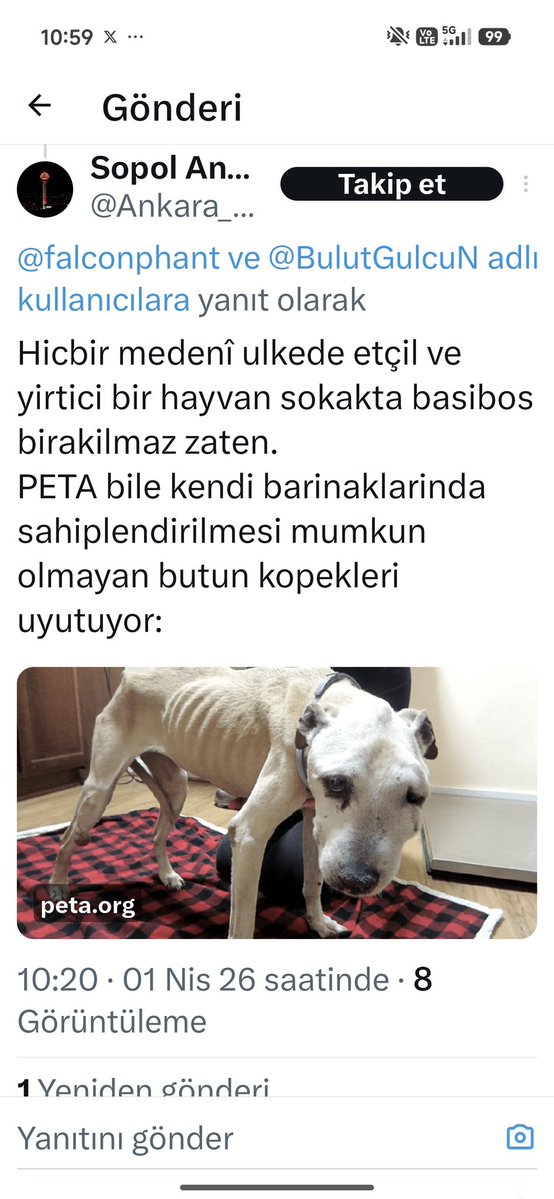MEHMET YANMAZ tweet media
