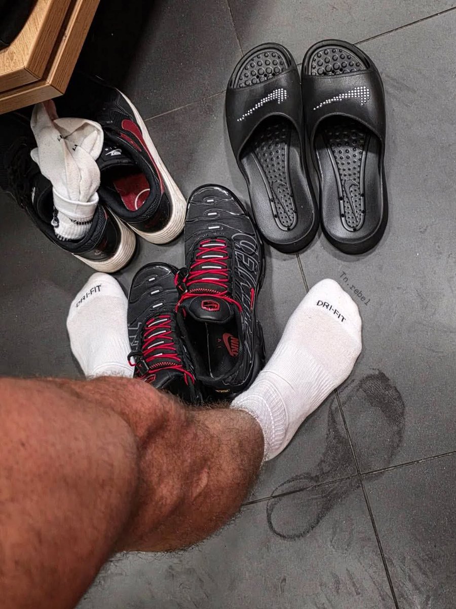 Ⓐⓛⓔⓧⓐⓝⓓⓔⓡ Ⓣⓞⓑⓞⓝ🇨🇴 tweet media