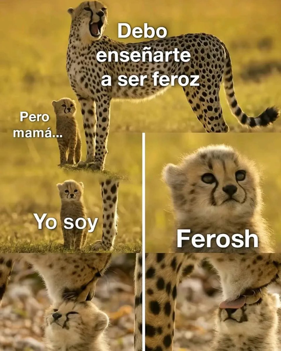 M O T I V A N D O T E (@m0tivand0te) on Twitter photo 