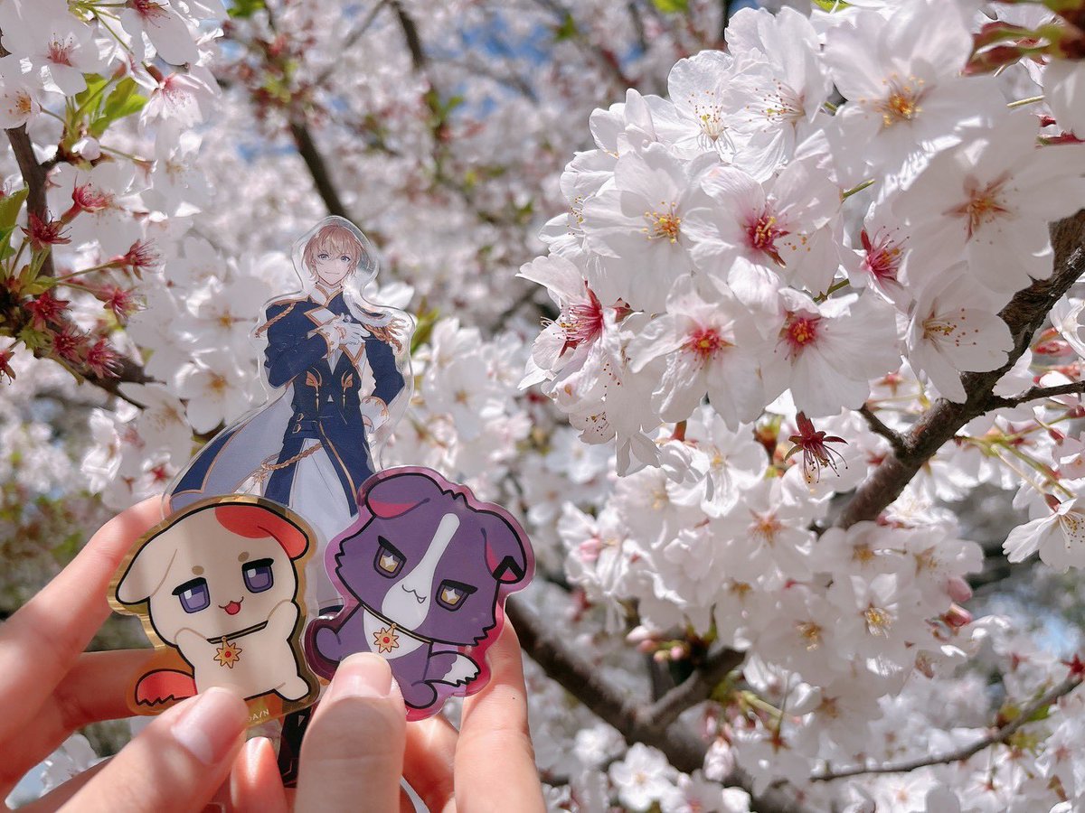 ぱむ🦊 tweet media