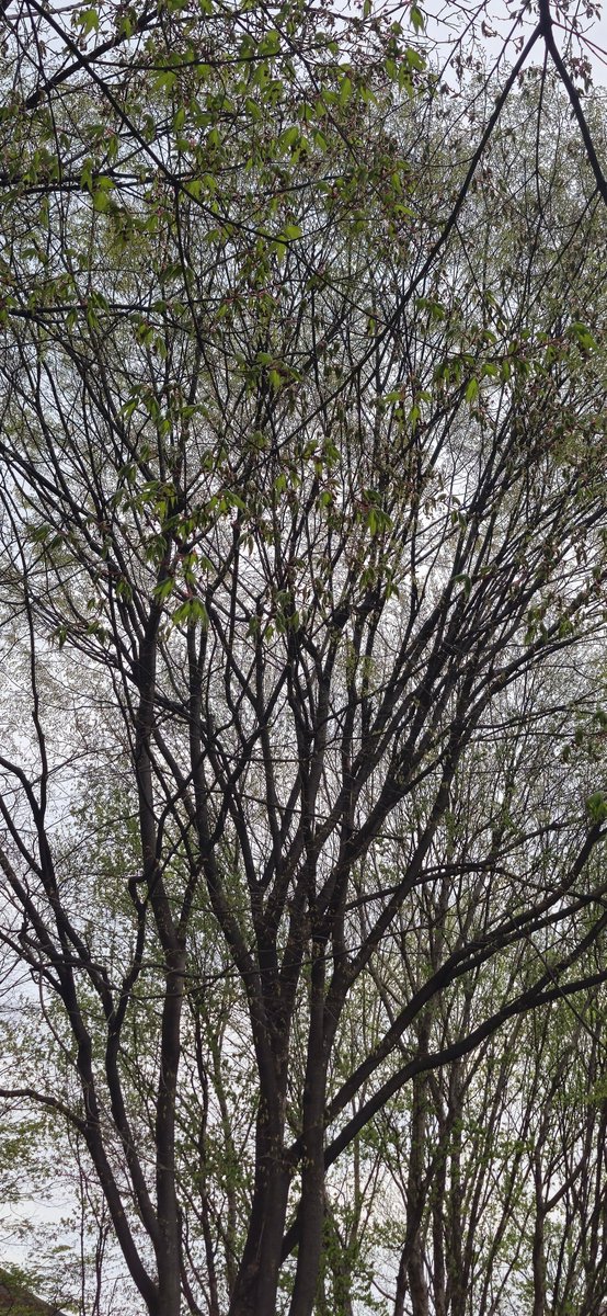 비오는바다 tweet media