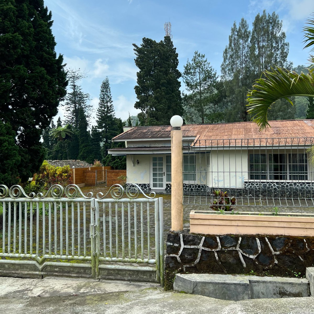 むーも tweet media