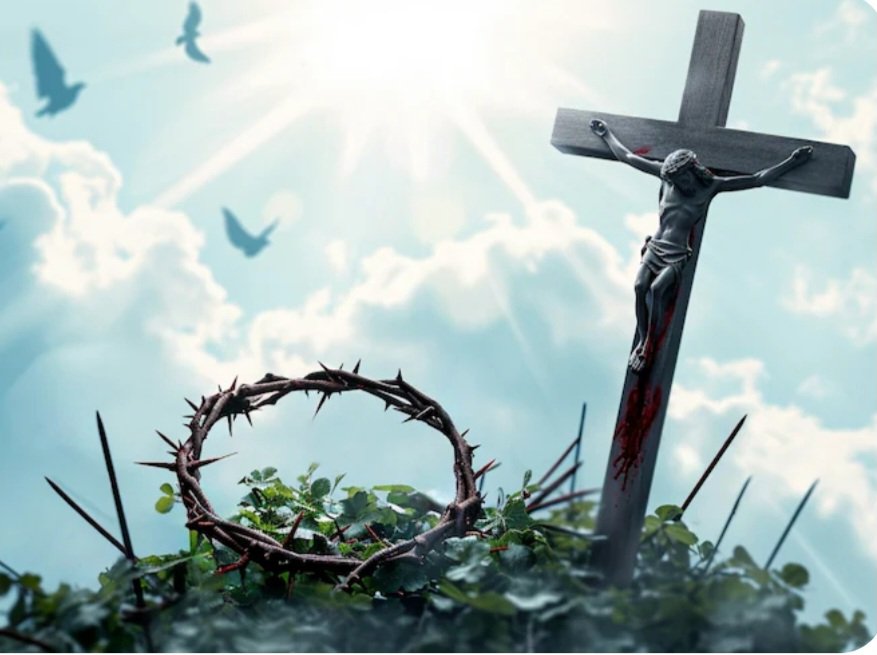 Ganon Nathalie 💋🚜 tweet media