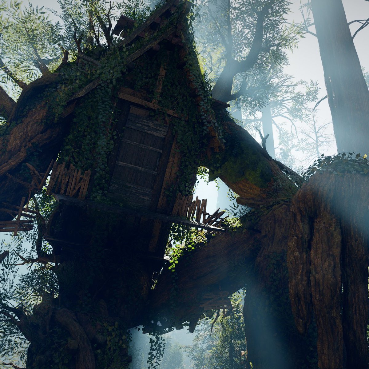 oFelipoca tweet media