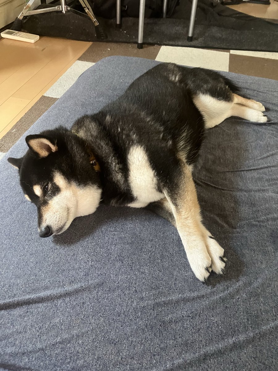 関美能留 tweet media