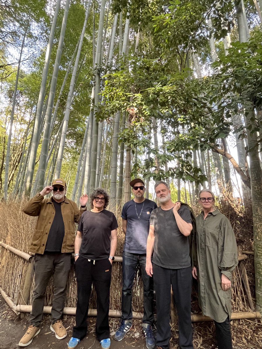 SUGAR SHOCK tweet media