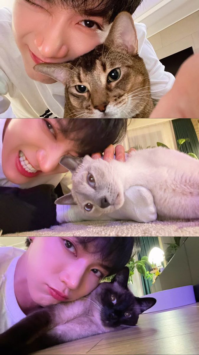 wayv pets tweet media