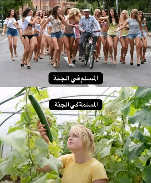 عساف الحسن tweet media