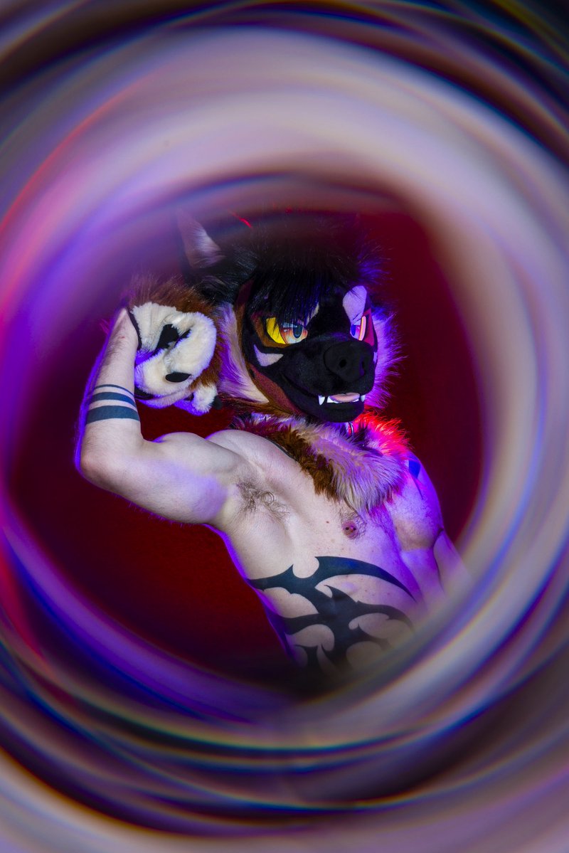 Dire Walf tweet media