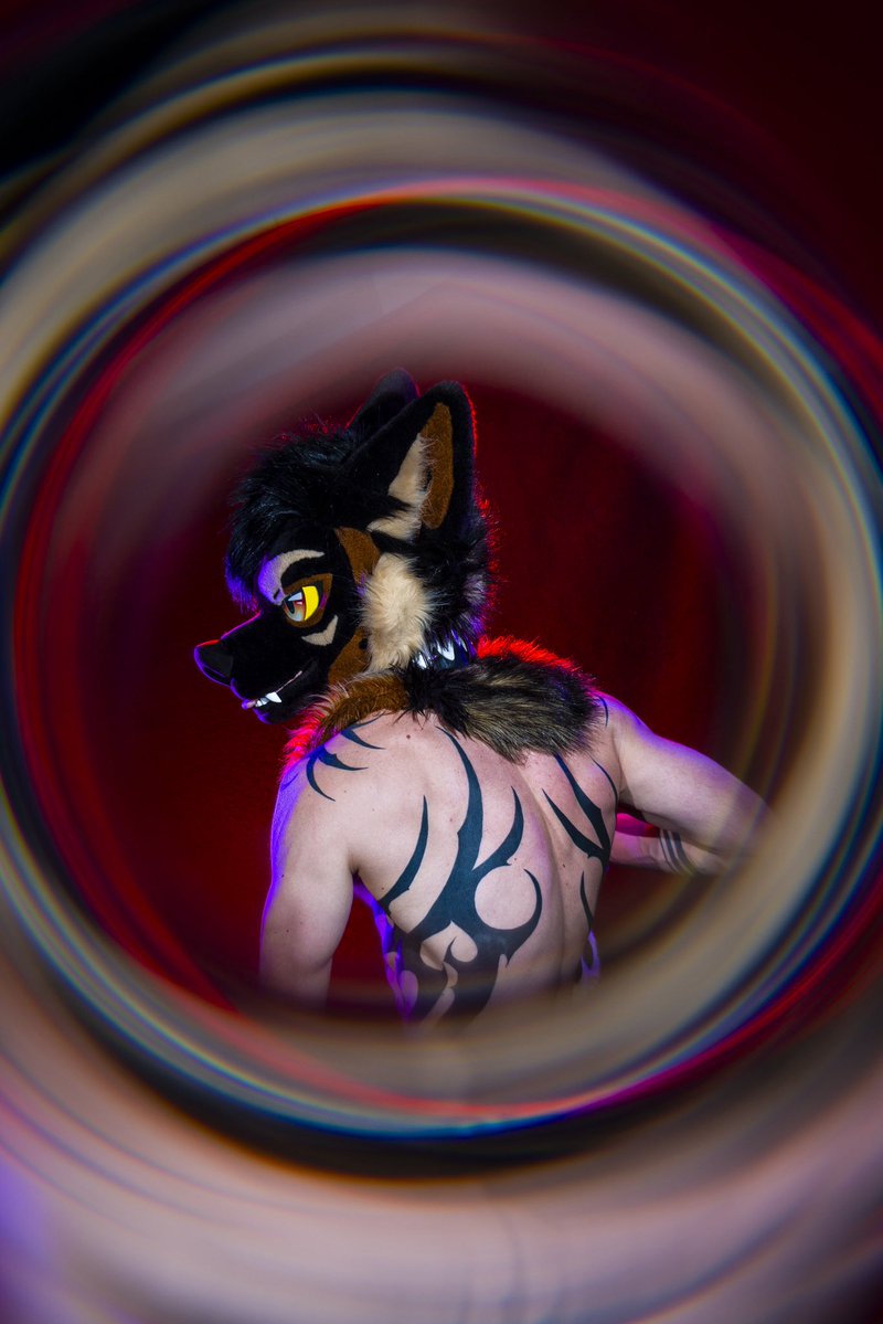 Dire Walf tweet media