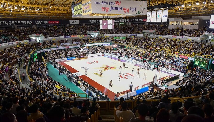 알럽바스켓공 tweet media