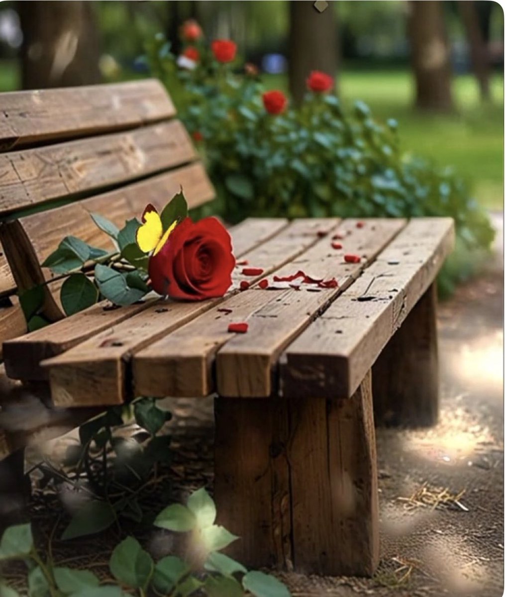 g_sfz's tweet photo. #همسه_صباحيه
#صباح_الخير_والسعادة 

اللهم لك المحامد والمدائح كلها 
بخواطري وجوارحي ولساني
ولك المحامد ربنا حمدا كما 
يرضيك لا يفنى على الأزمانِ https://t.co/1fgfakHX1A