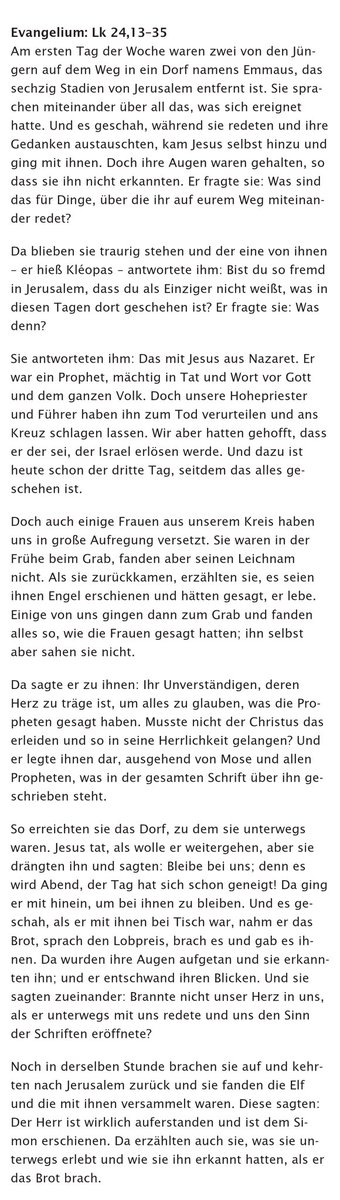 Bellfrell 🇦🇹 tweet media