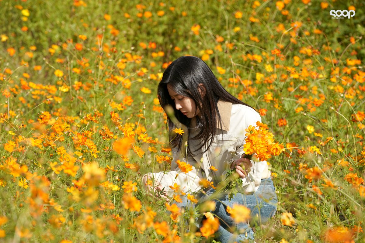 숲블리 tweet media