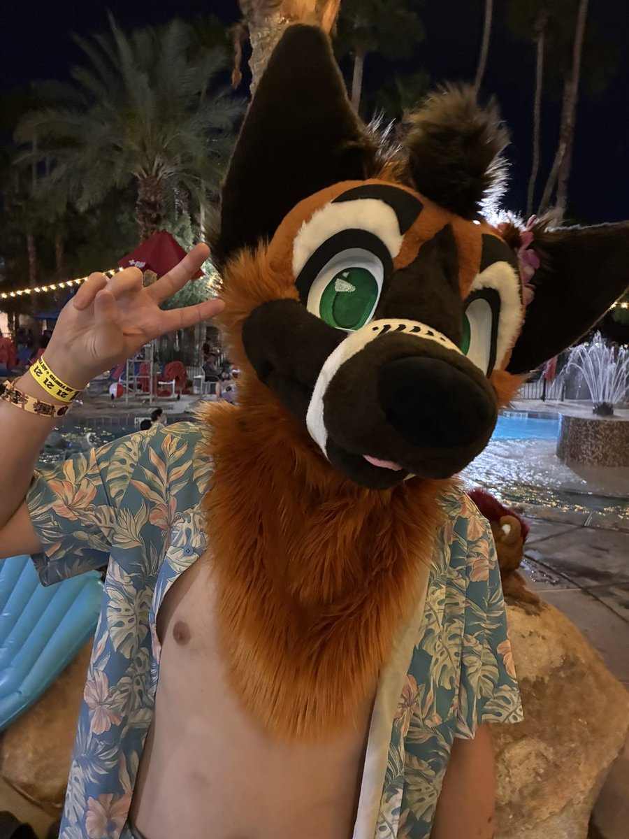 LinkThePup's tweet image. One last pool sesh was needed. What a way to end this spectacular weekend. Thank you again from the bottom of my heart. 💙 #LVFC #lasvegasfurcon