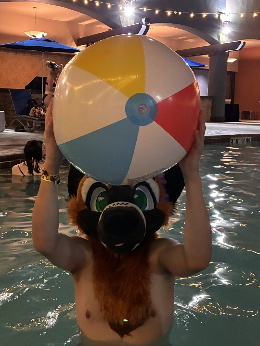 LinkThePup's tweet image. One last pool sesh was needed. What a way to end this spectacular weekend. Thank you again from the bottom of my heart. 💙 #LVFC #lasvegasfurcon