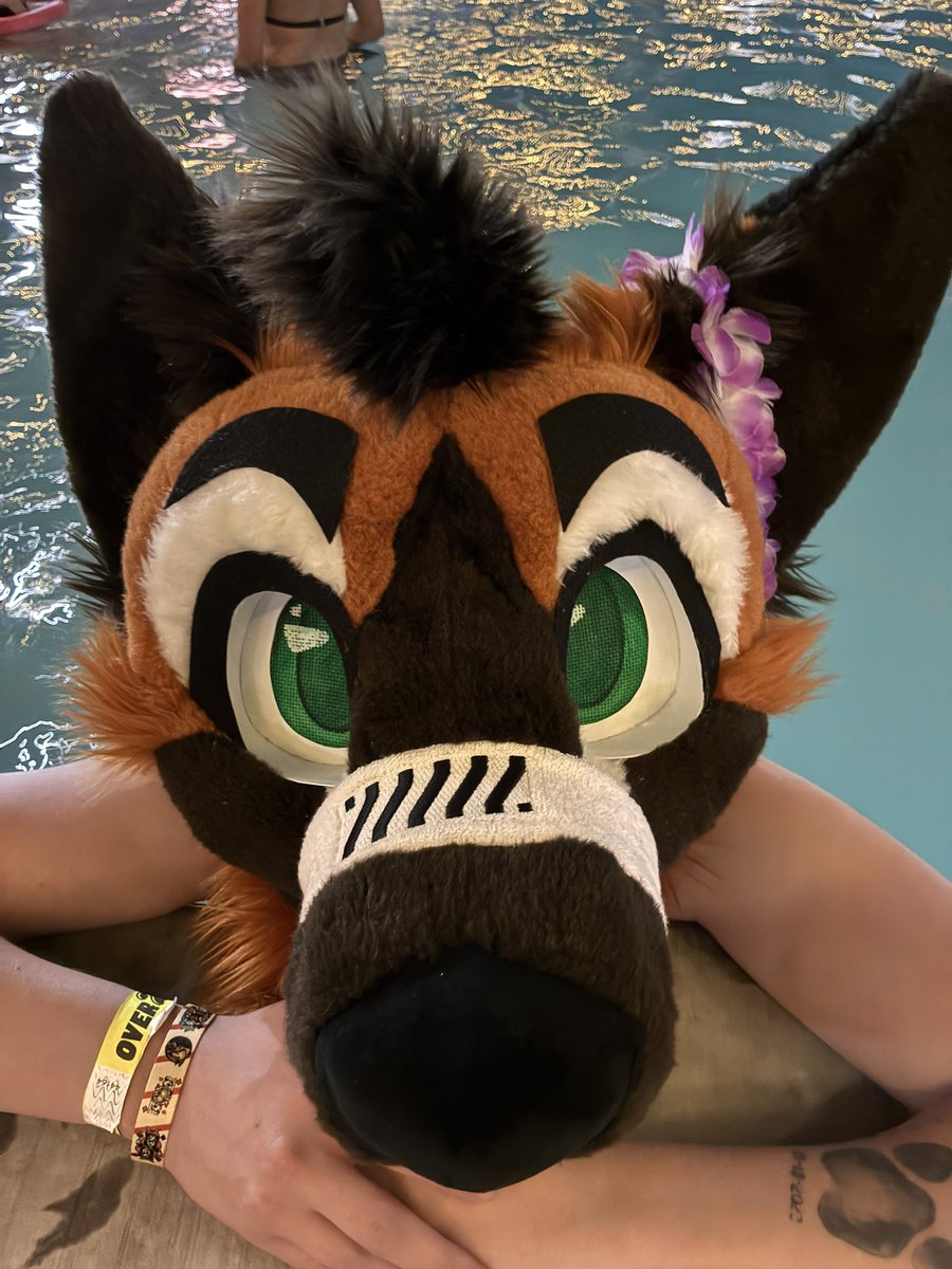 LinkThePup's tweet image. One last pool sesh was needed. What a way to end this spectacular weekend. Thank you again from the bottom of my heart. 💙 #LVFC #lasvegasfurcon
