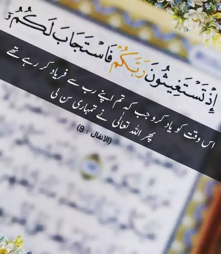 الف نگری tweet media