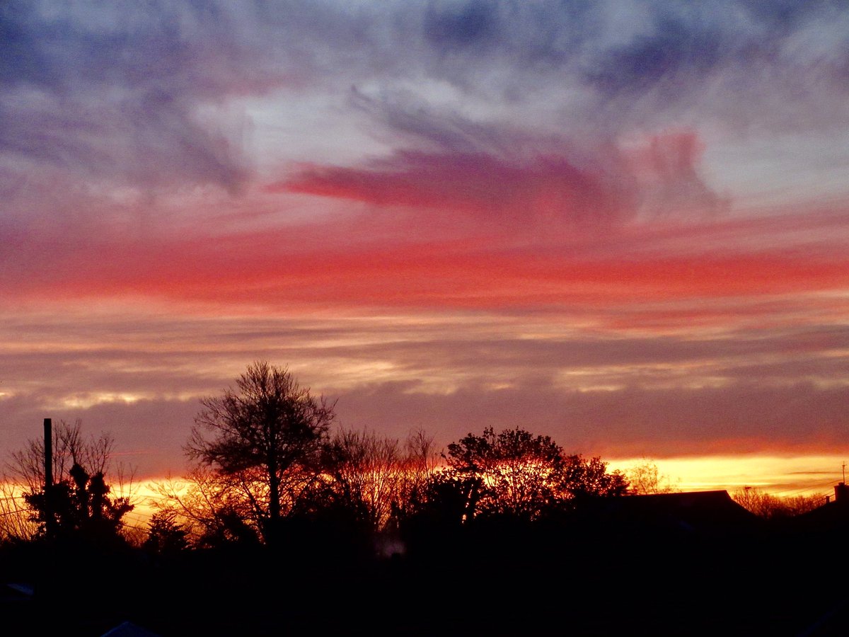 Susan Danielis Marshall tweet media