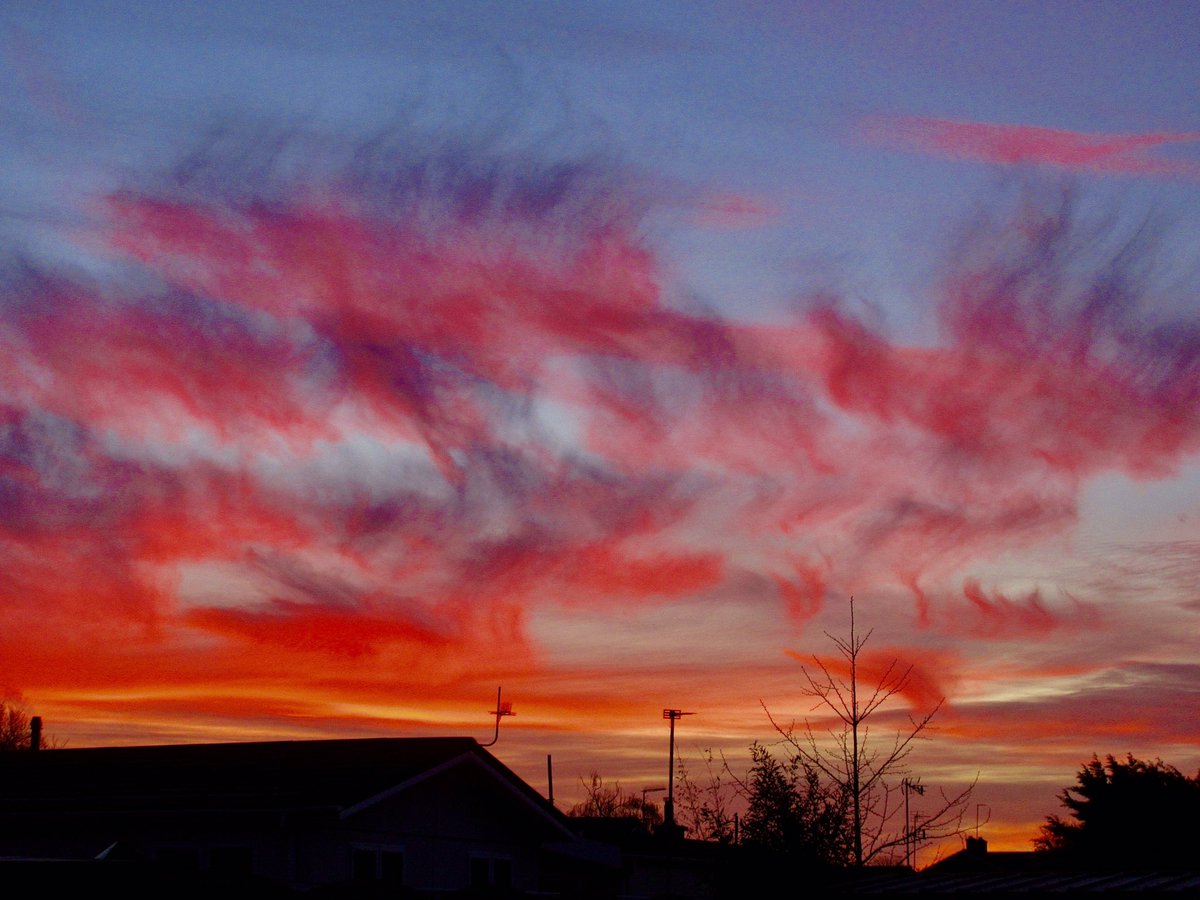 Susan Danielis Marshall tweet media