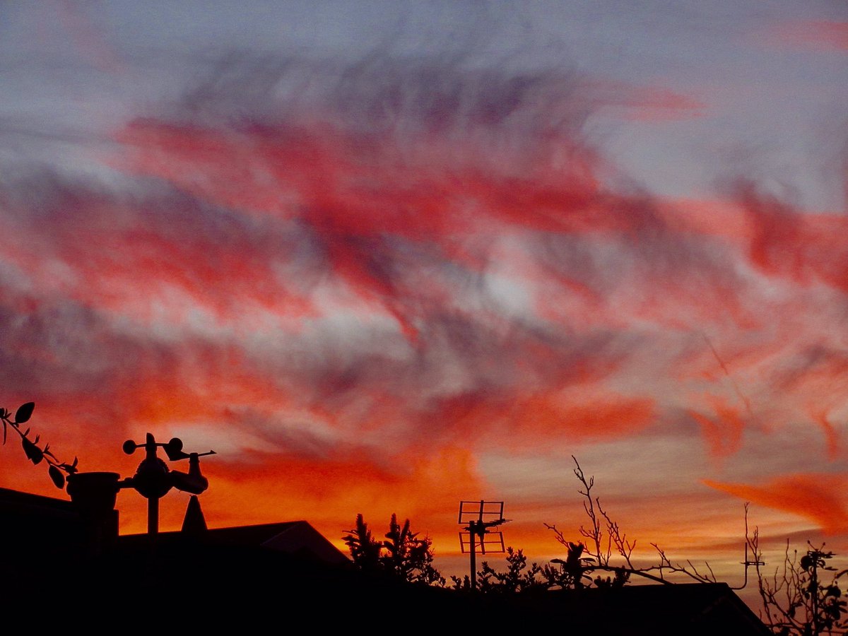 Susan Danielis Marshall tweet media