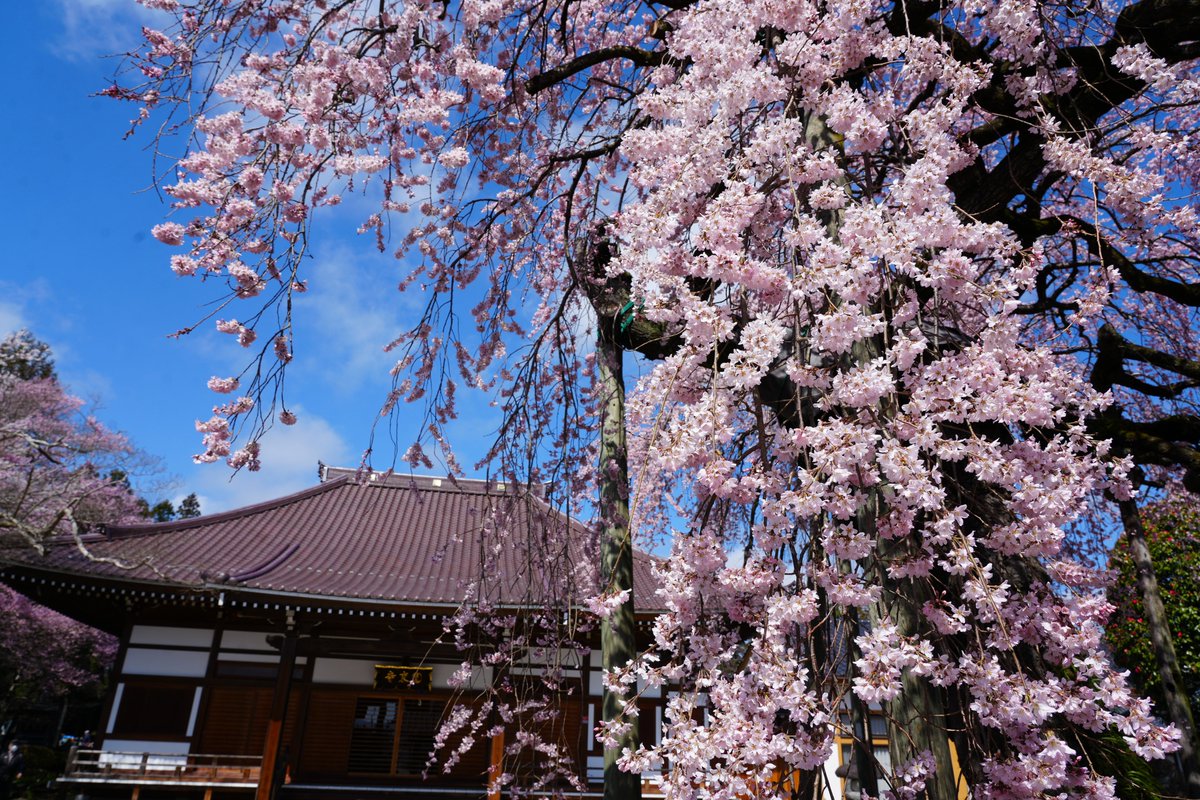 ひろくん tweet media