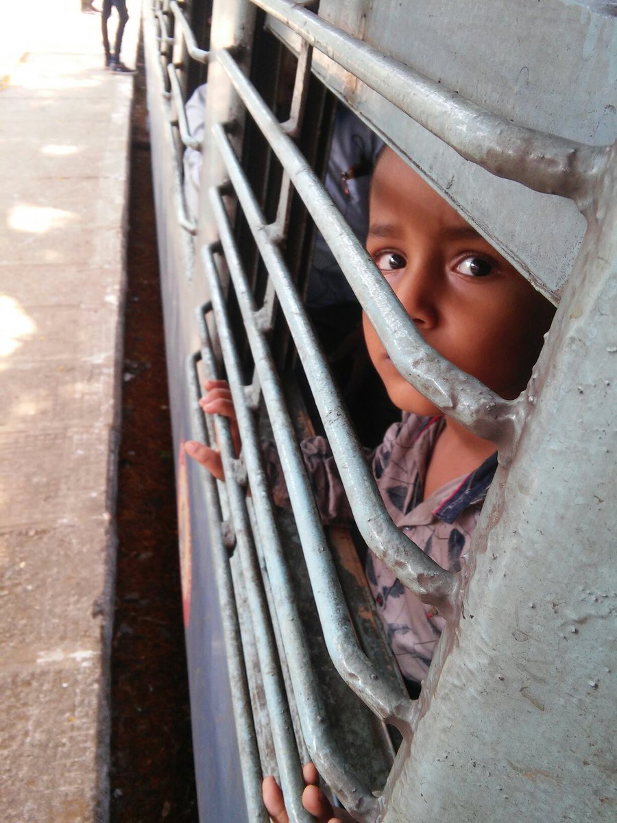 nuttkase tweet media