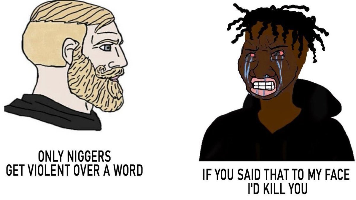 𝗗𝗮𝗺𝗶𝗮𝗻 🗣️ tweet media