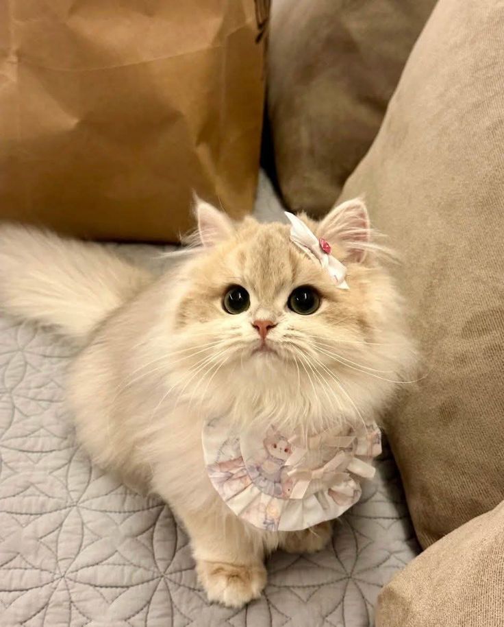 ★ nath lvs rin tweet media