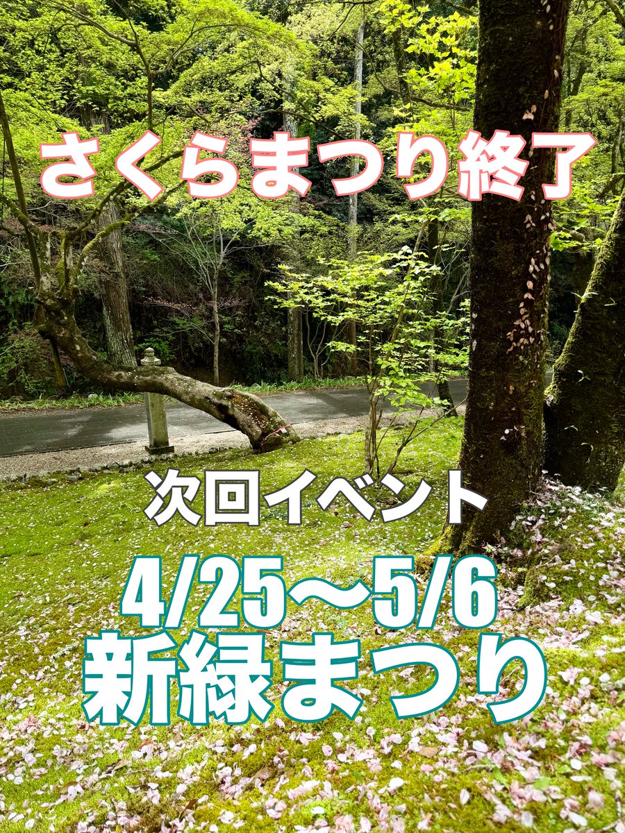 法多山 tweet media