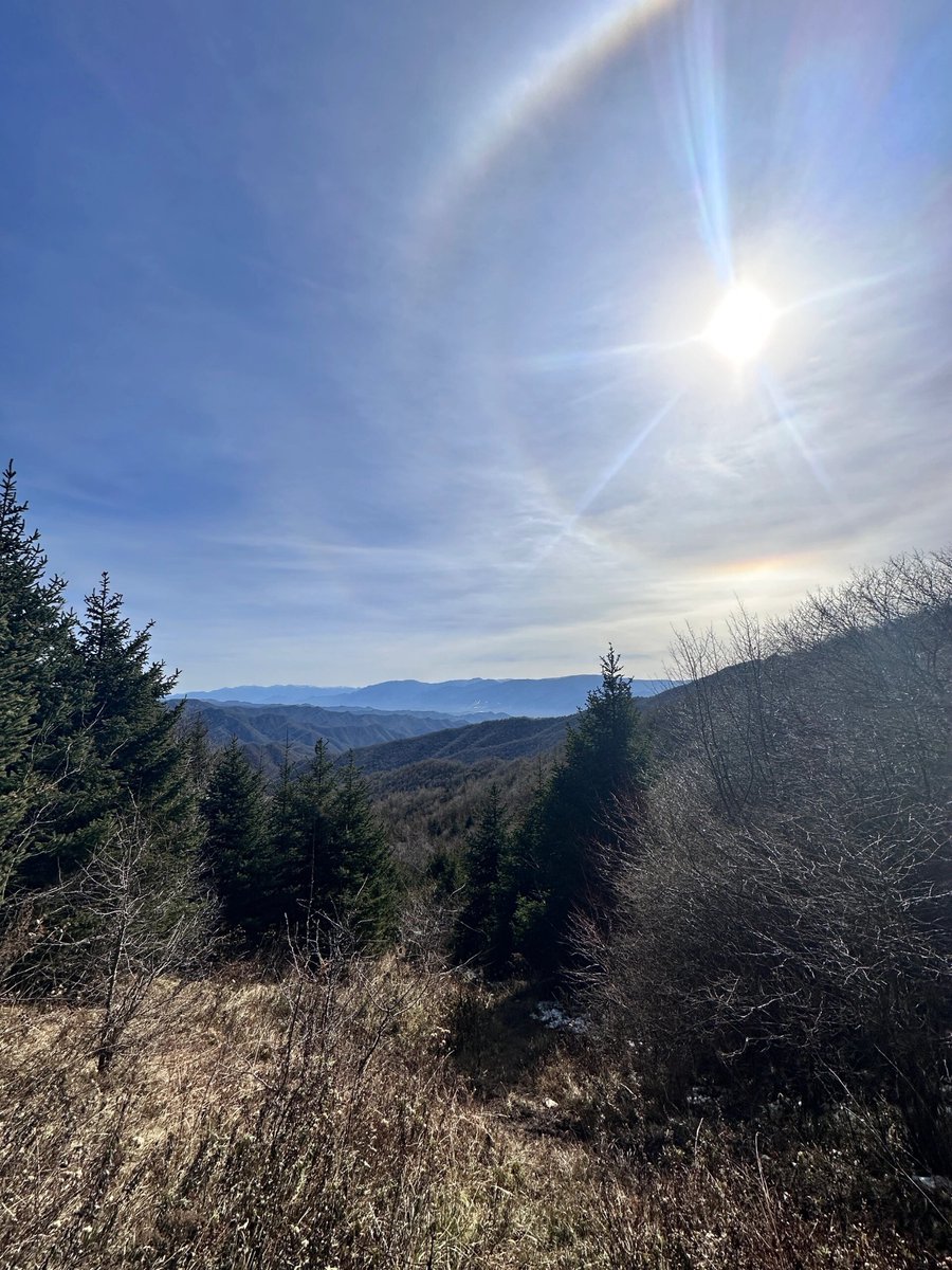 Sumit Varma tweet media