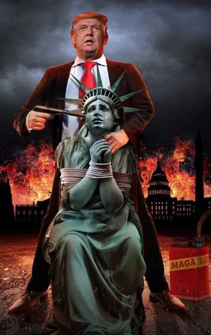 MAGA by activating #25thAmendment