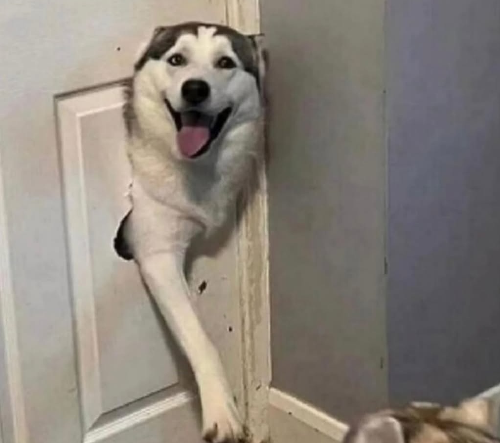 Ana_LaPatata tweet media