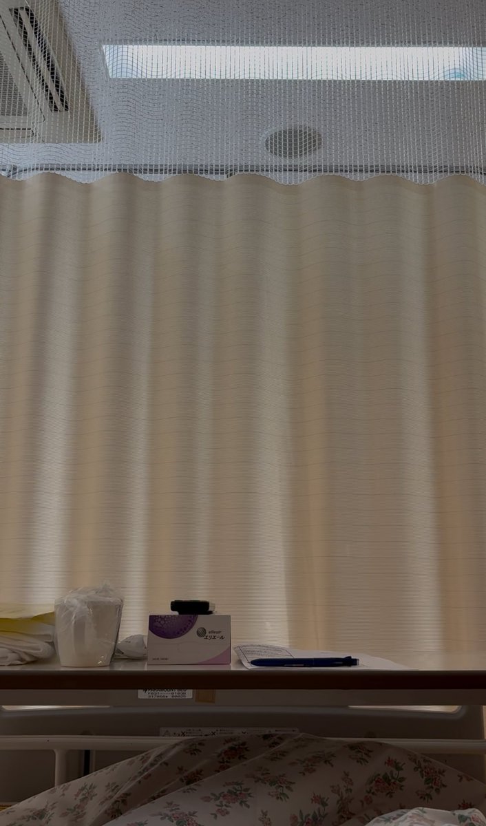 KT584ハンモッカー・徒歩ハンモック会［キャンプサイコー協会員、焚火鉄鍋会会長、KP協会 tweet media