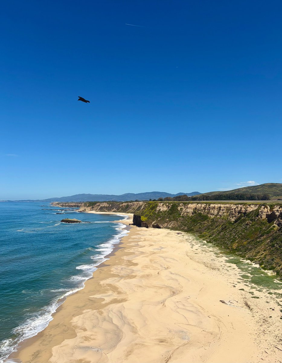 Tair Asim tweet media