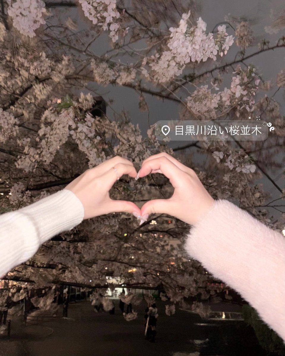 𝒎𝒊 tweet media