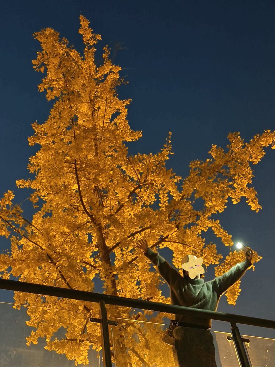 Shari Manders tweet media