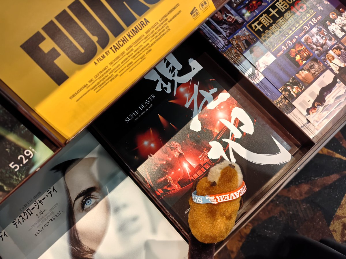 MOMO🦫 tweet media